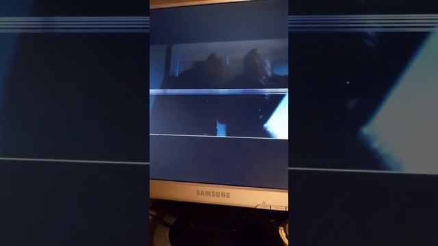 Скотт Томас. Надоело Извиняться. (2)