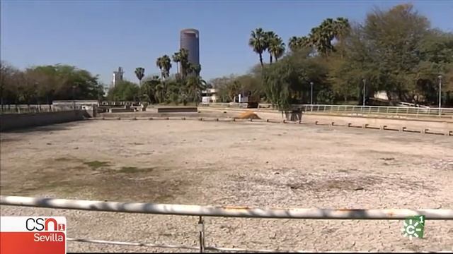 Aparecen centenares de peces muertos en el Jardín Americano