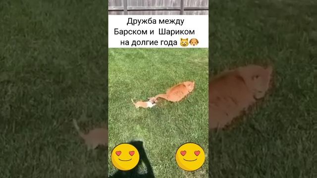 Дружба на года