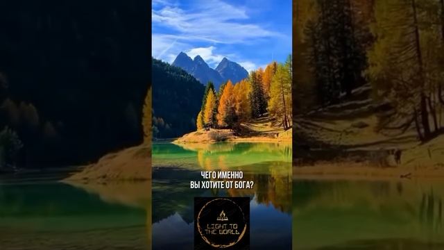 Бог помогает руками людей #shorts