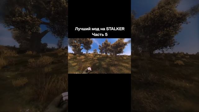 Лучший мод на сталкер часть 5 #stalker #сталкер #anomaly