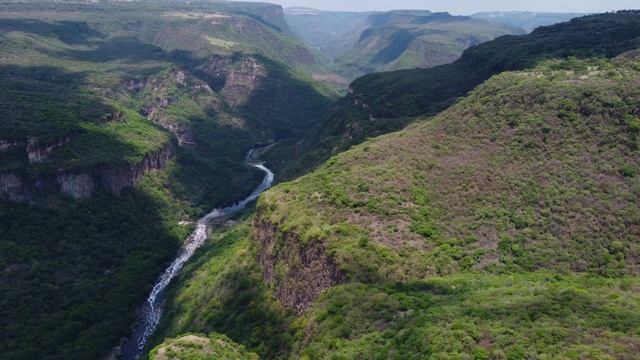 Пролетите над огромным каньоном, покрытым растительностью 4k