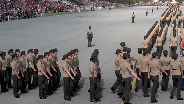 Marine Female Drill SGT