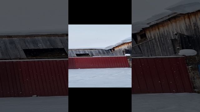как быстро почистить снег с крыши