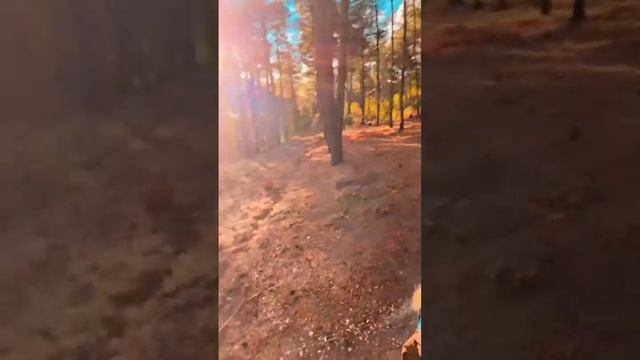 Мир существует здесь и сейчас,в нас самих и во всем,что мы видим и делаем#kristinakosmet#reels