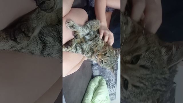 Всем привет с вами ТИГРА!