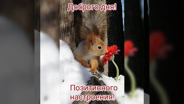 С Добрым зимним утром⛄🥰❄⛄❄