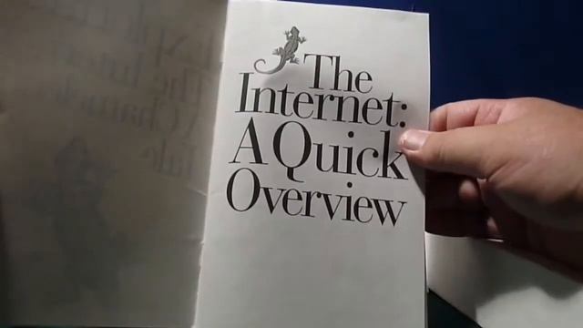 Unboxing Internet Chameleon - Internet Flashback