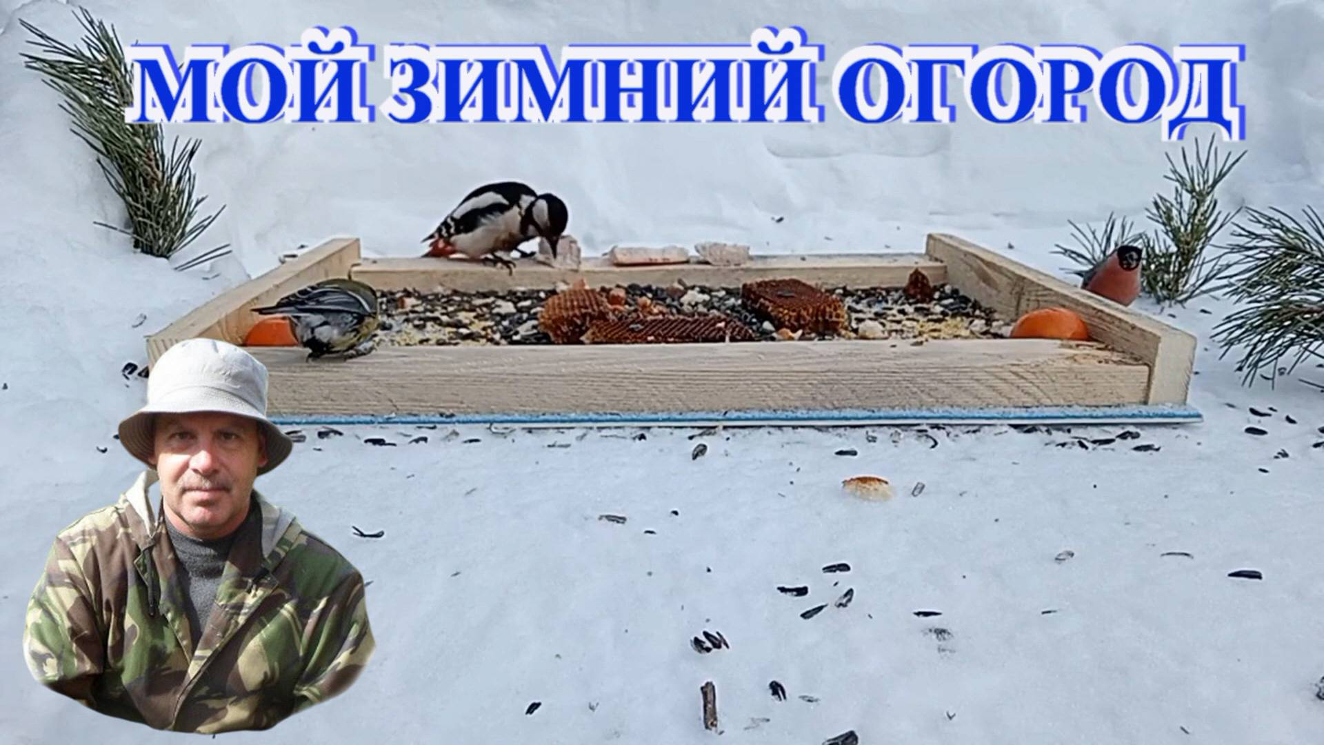 18.01.25 г. Огород. Всё расстаяло!