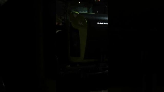 petal_20250118_171320.mp4