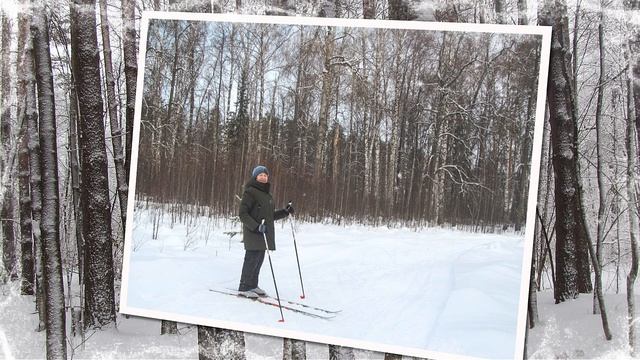 Зимний лес