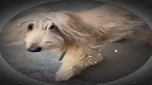 1000007622.mp4