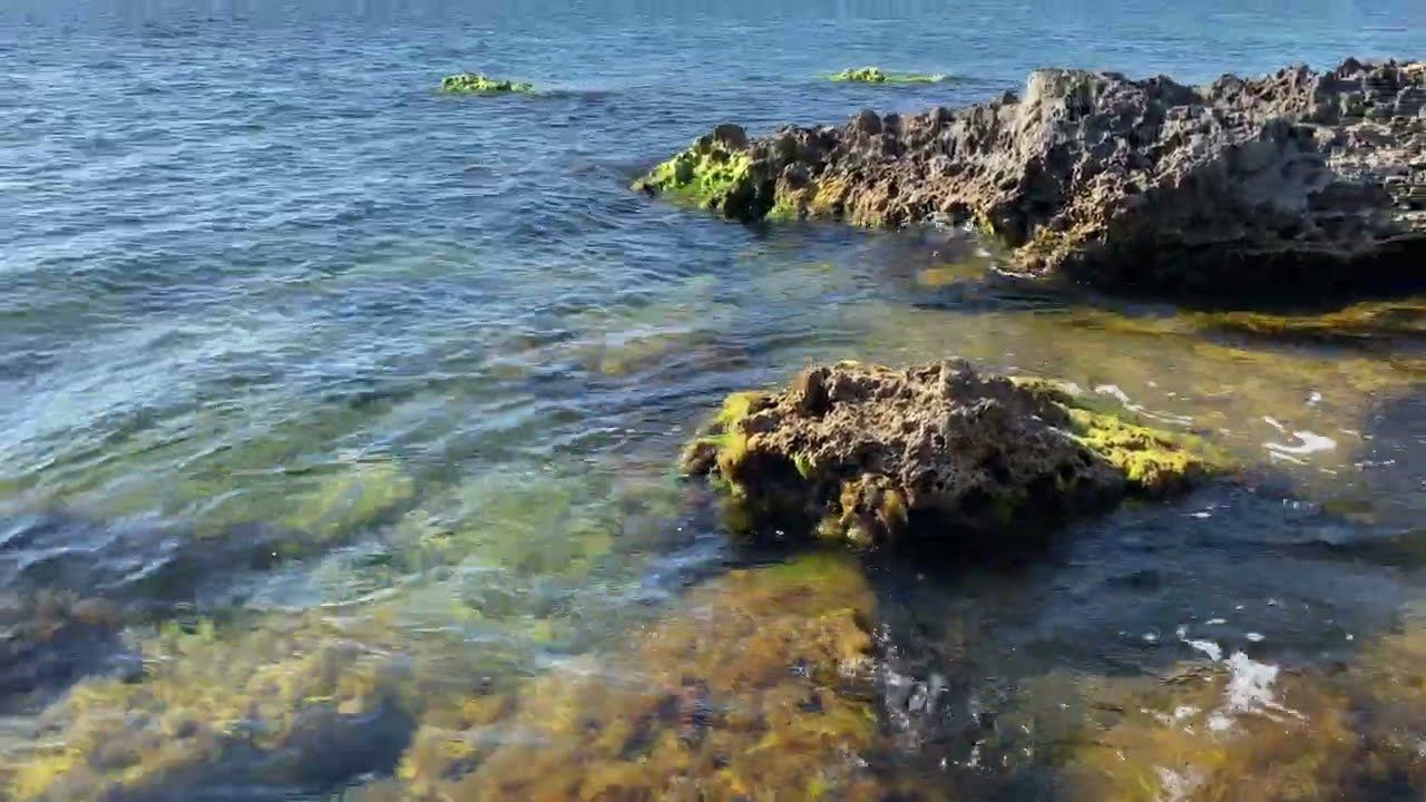 Морские волны плескаются среди нескольких красивых камушков с водорослями, шум моря