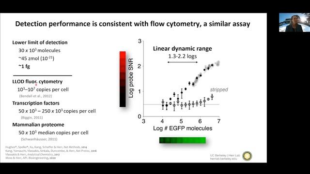 3-D Projection Electrophoresis: Protein Profiling with Single-Cell Resolution