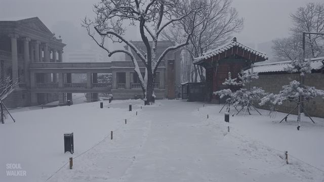 Snowy Morning Stroll at Deoksugung Palace ｜ Walking Tour Seoul