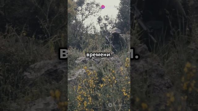 Израиль готов к перемирию с ХАМАС