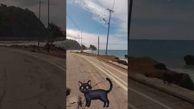 1000782051.mp4
