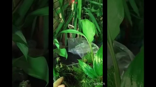 1000044429.mp4