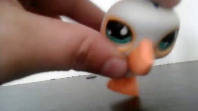 My new lps pelican