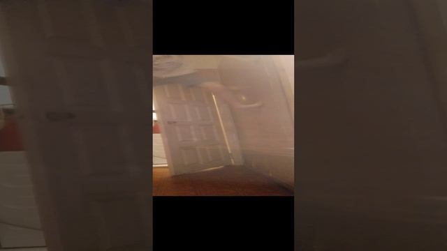 я стал человеком-пауком