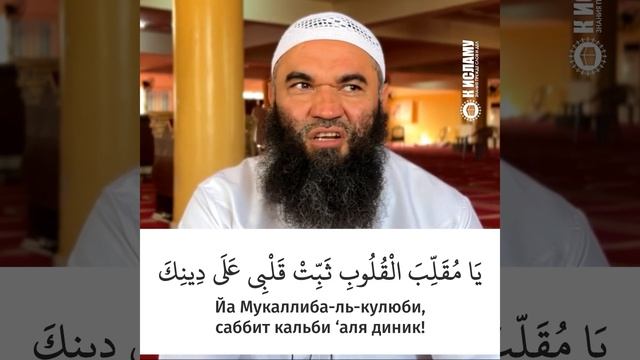 Об этом Пророк Мухаммад ﷺ очень часто просил Всевышнего. Ринат Абу Мухаммад #Shorts