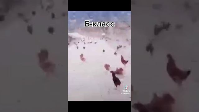 1000022731.mp4