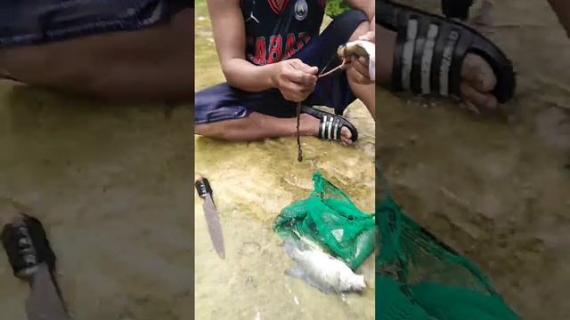 pa sapa sata mga katoko kay murag mingaw tag tilapya