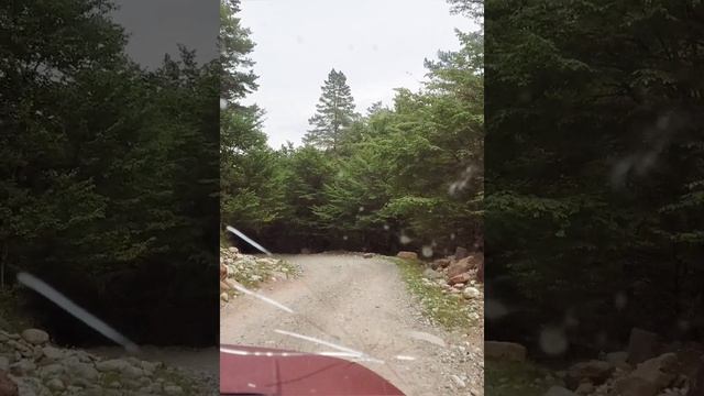 Поездка на кислые источники