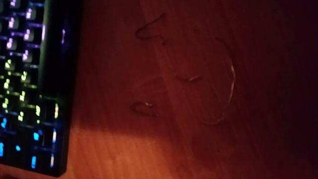 пришёл домой с медью