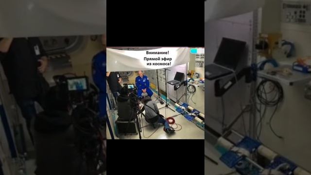 Как вам вешают лапшу в СМИ