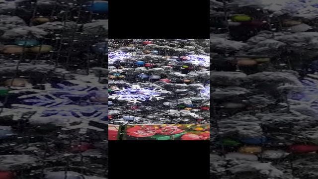 Видео WhatsApp 2025-01-17 в 23.58.56_8020085b