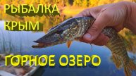 🔥 Поймал необычную ЗЕЛЕНУЮ ЩУКУ в горном озере. Рыбалка в одном из красивейших мест Крыма 🔥