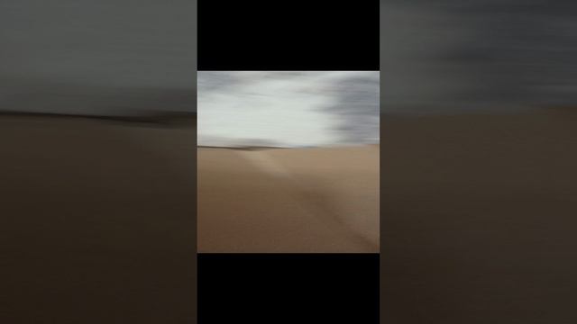 1000004935.mp4