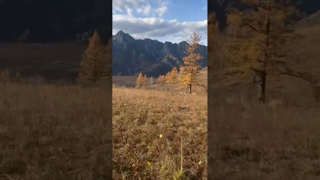Ороктой