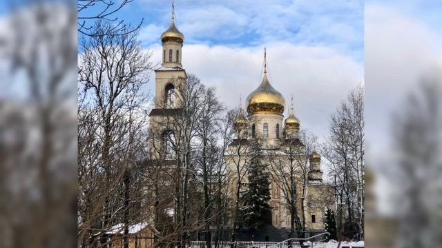 Январские снеговики, котовики и грязевики в Калининграде 2025