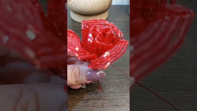 Роза из рубки🌹❤️🌹❤️🌹