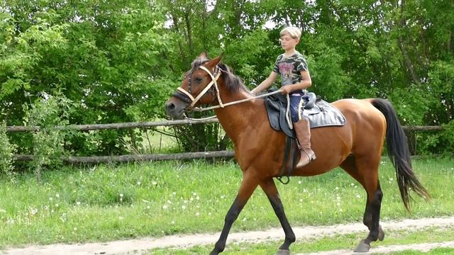 Сказы Поценья. В казачьих традициях