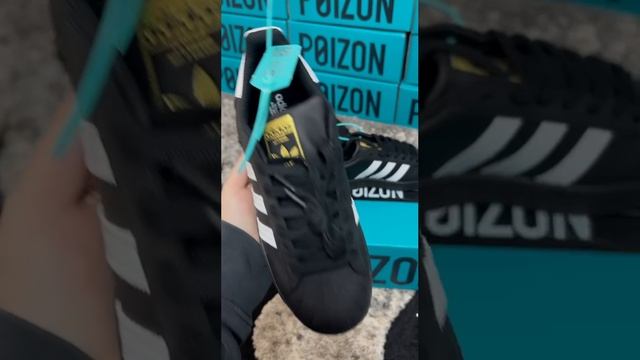 VID_20250118_133713_579.mp4
