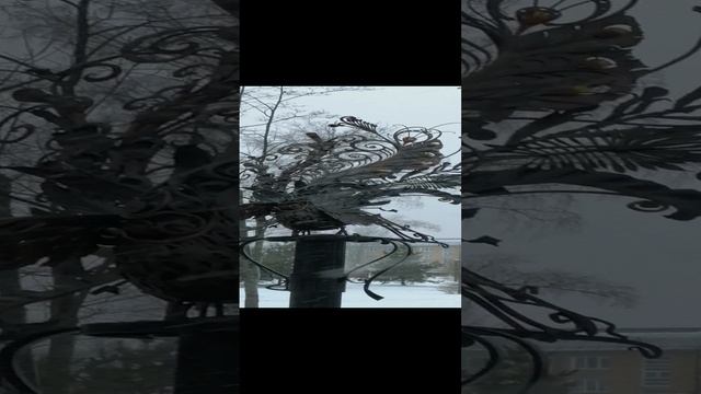Жар-птица под снегопадом