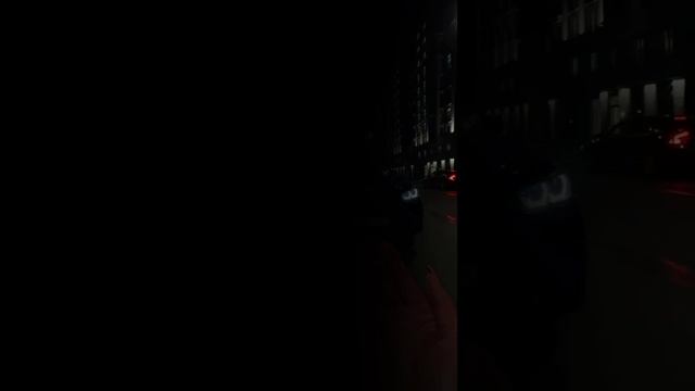 Дрессировка от Автоцеха