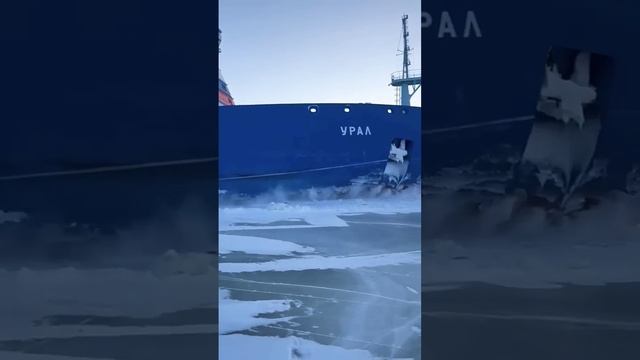 VID_20250118_172707_113.mp4