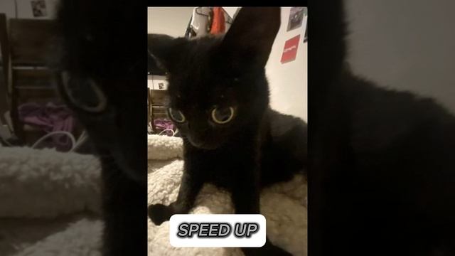 lv_0_20250118172137.mp4