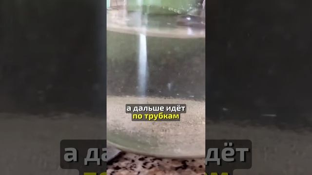 Опасность лимонной кислоты для кофемашины