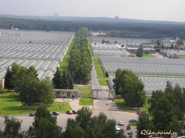 Совхоз-комбинат "Московский" - 20 Лет