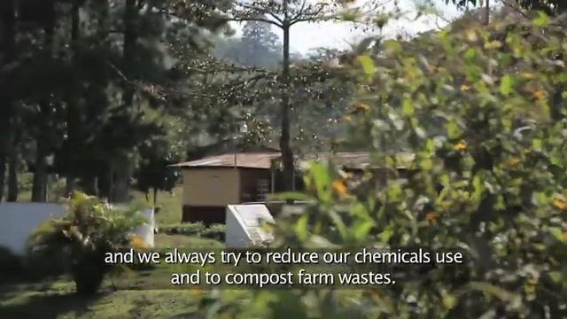 Van Houtte and Montaña Verde: A Fruitful Partnership - Part 2