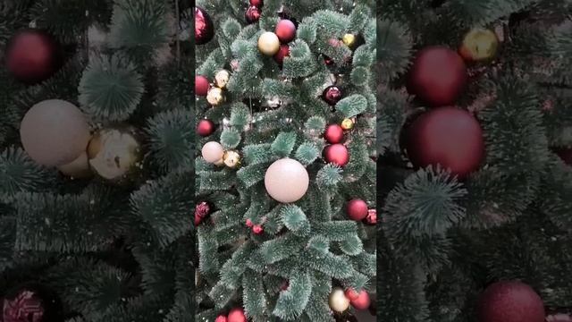 VID_20250118_170508_241.mp4
