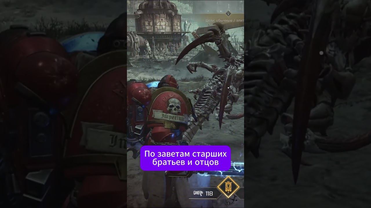 Два бага в одном видео #warhammer40k #spacemarine2 #баги #shorts