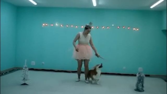 Новогодние приключений Мари и Щелкунчика