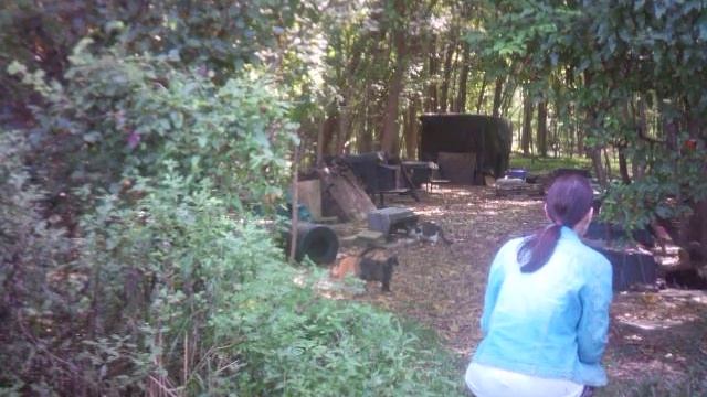 Caring for a Feral Cat Colony | Freya's Cat Rescue | Manalapan, NJ  Cinnamon 2016 Trail Cam #shorts