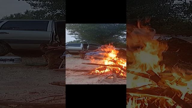 Рыбалка на донскую селёдку!Лето 2024г.